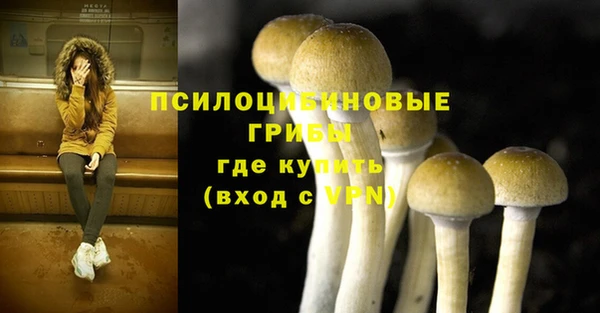 ПСИЛОЦИБИНОВЫЕ ГРИБЫ Алексин